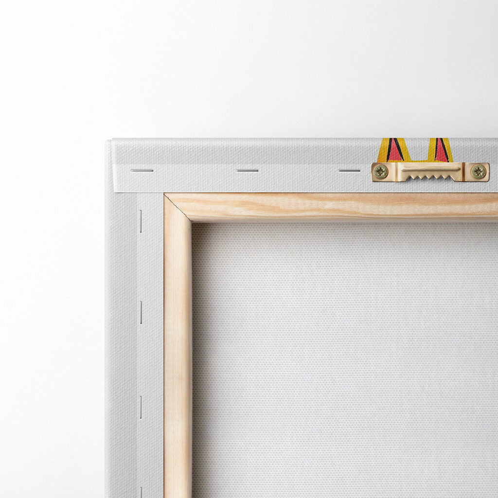 Group of cats with different colors Group of cats with different colors