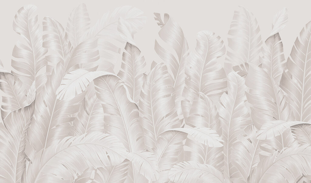 Groupe de plumes blanches Groupe de plumes blanches