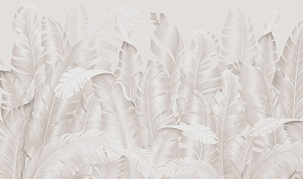 Groupe de plumes blanches Groupe de plumes blanches