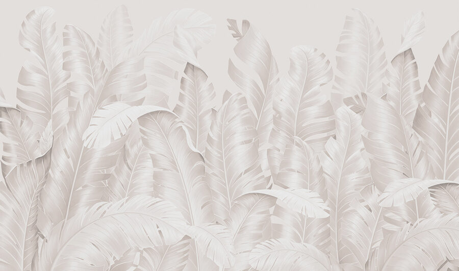 Groupe de plumes blanches