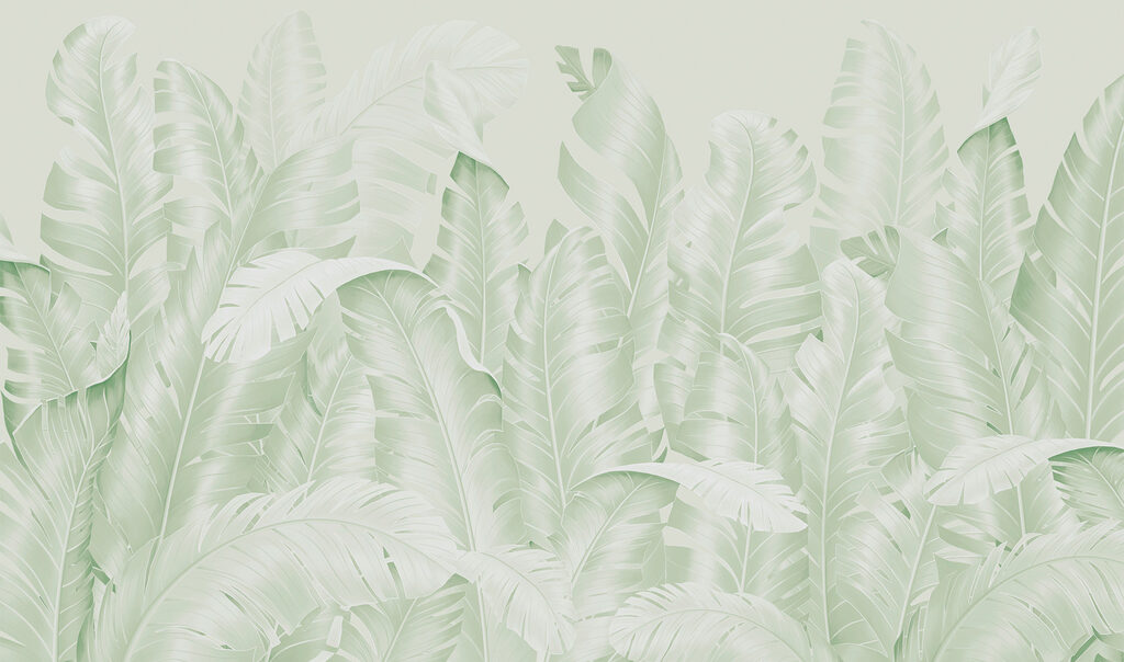 Groupe de feuilles sur fond blanc Groupe de feuilles sur fond blanc