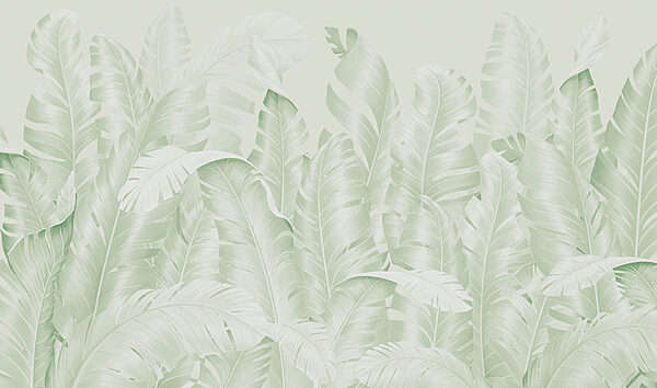 Groupe de feuilles sur fond blanc Groupe de feuilles sur fond blanc
