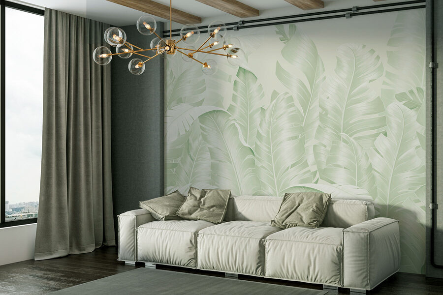 Groupe de feuilles sur fond blanc