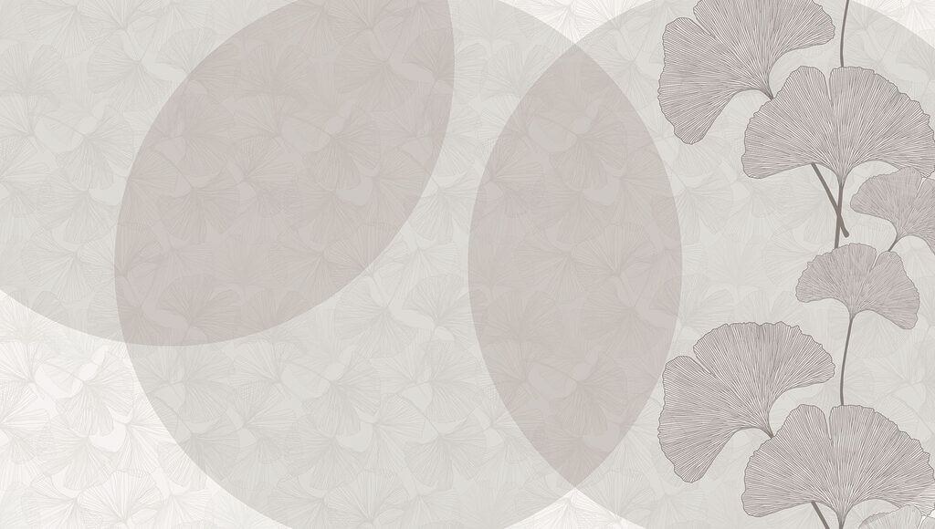Fond gris et blanc avec des cercles et des lignes Fond gris et blanc avec des cercles et des lignes