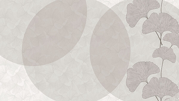 Fond gris et blanc avec des cercles et des lignes Fond gris et blanc avec des cercles et des lignes