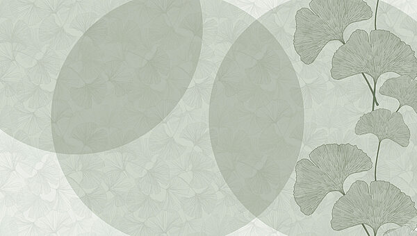 Fond vert et blanc avec des cercles et des lignes Fond vert et blanc avec des cercles et des lignes