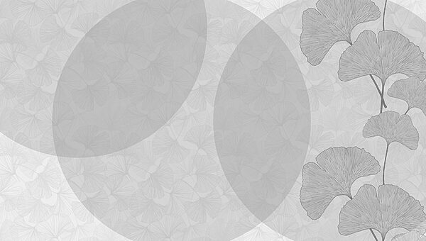 Fond gris et blanc avec des cercles et des lignes Fond gris et blanc avec des cercles et des lignes