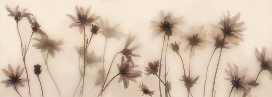 Groupe de fleurs sur fond flou