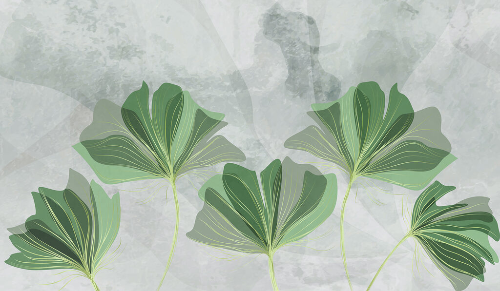 Feuilles vertes sur fond gris Feuilles vertes sur fond gris
