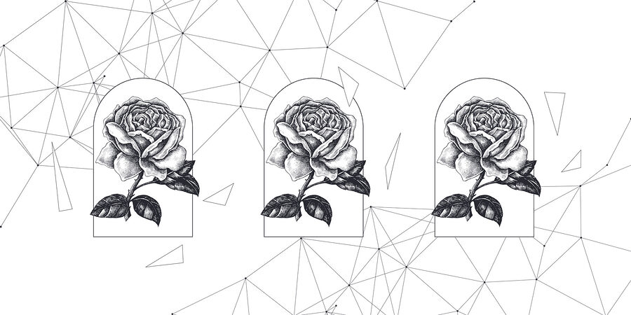 Dessin d'une rose