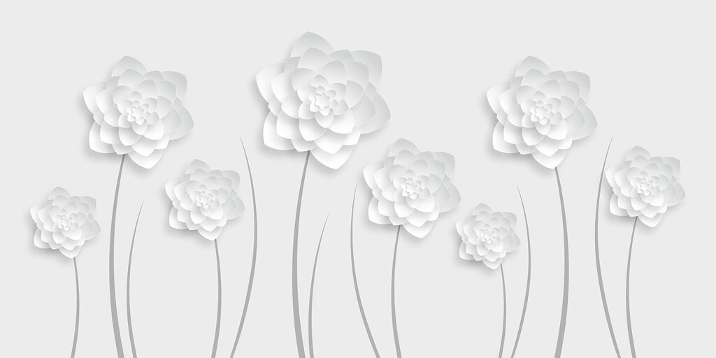 Fleurs en papier blanc sur fond blanc Fleurs en papier blanc sur fond blanc