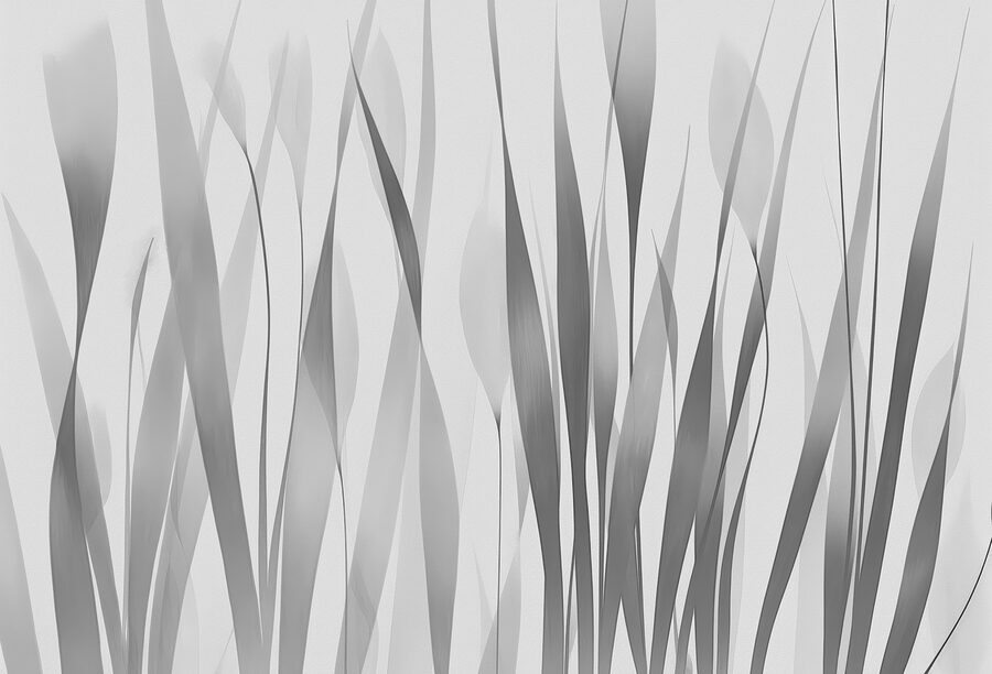 Image de plantes en gris et blanc