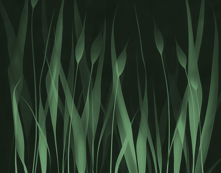 Herbe verte sur fond noir
