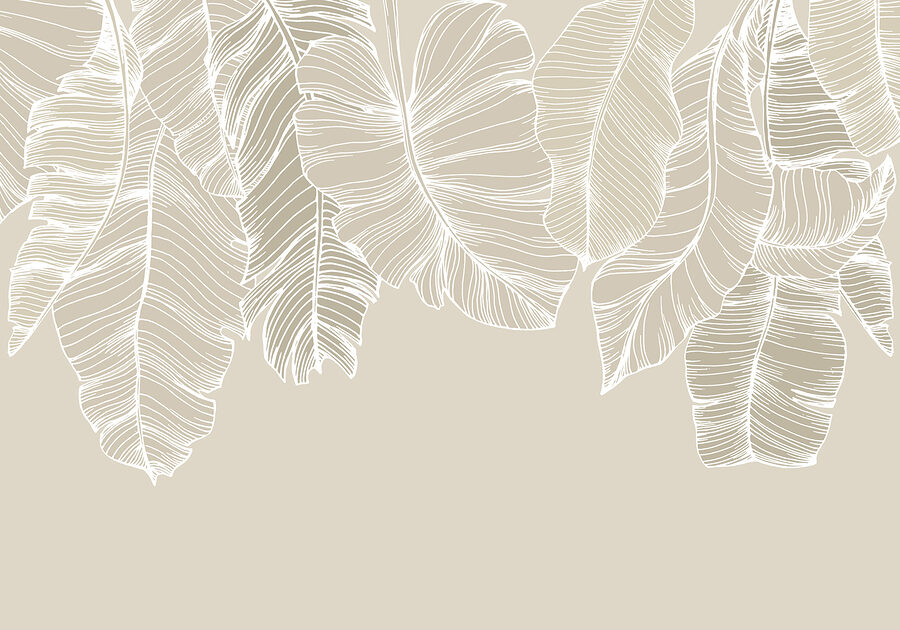 Gros plan sur les feuilles