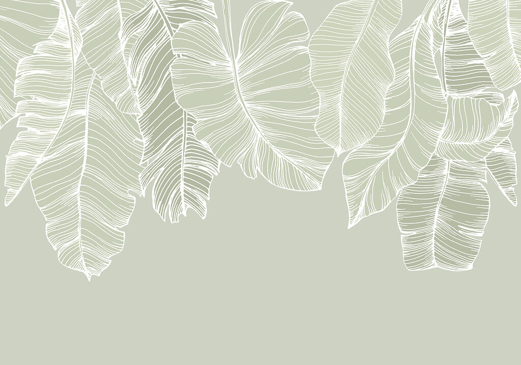 Gros plan sur les feuilles Gros plan sur les feuilles
