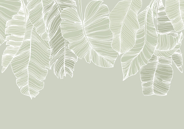 Gros plan sur les feuilles Gros plan sur les feuilles