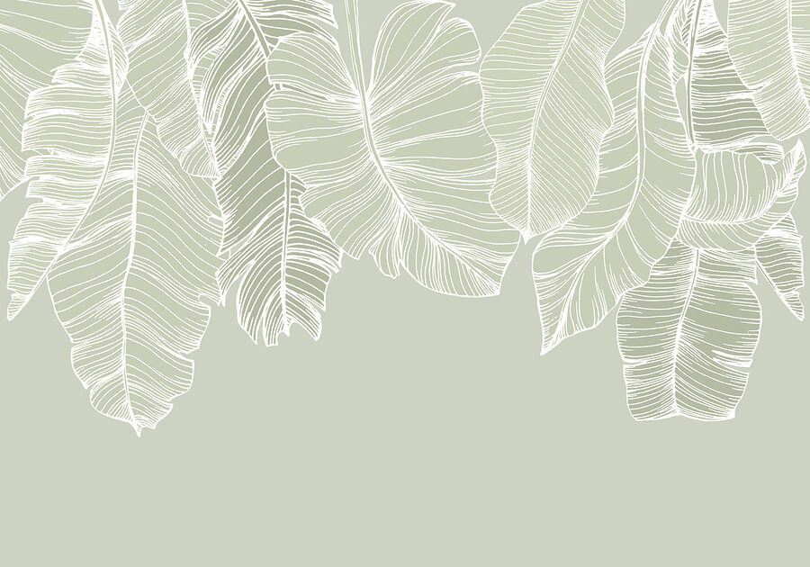 Gros plan sur les feuilles