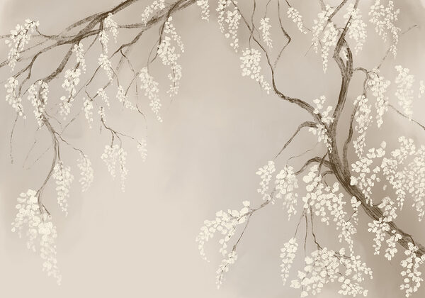 Branche d'arbre avec des fleurs blanches Branche d'arbre avec des fleurs blanches