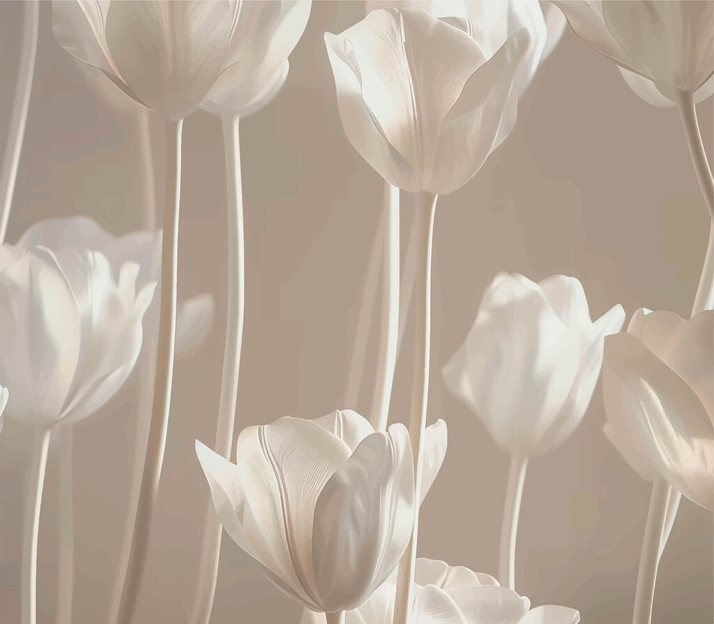 Groupe de fleurs blanches Groupe de fleurs blanches