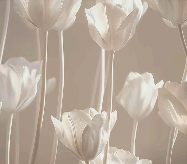 Groupe de fleurs blanches Groupe de fleurs blanches