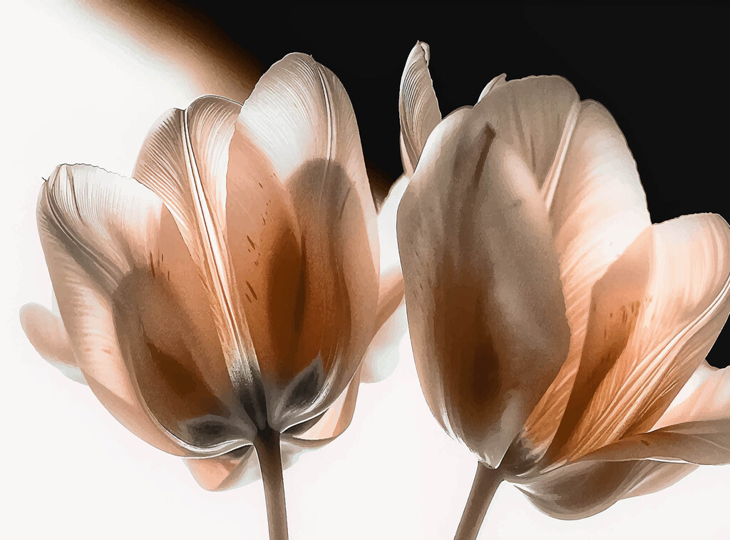 Gros plan sur des fleurs Gros plan sur des fleurs