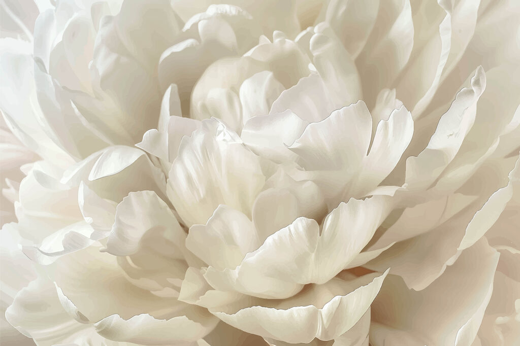 Gros plan sur une fleur blanche Gros plan sur une fleur blanche