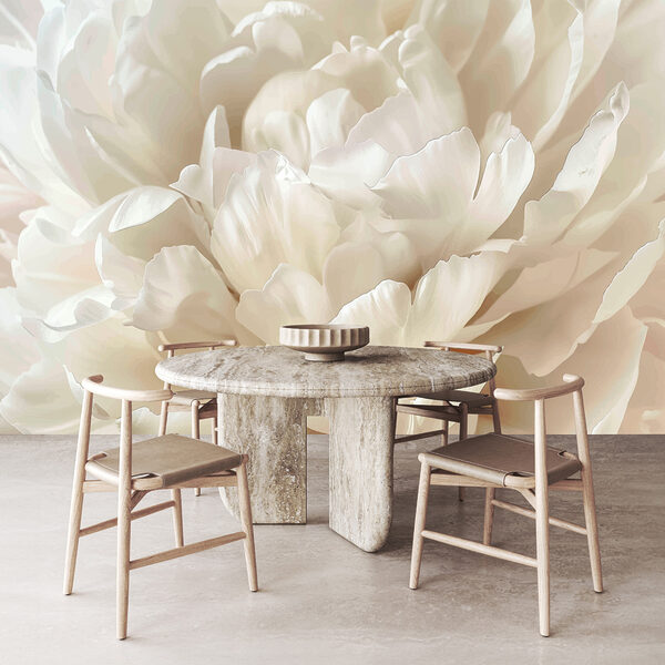 Gros plan sur une fleur blanche Gros plan sur une fleur blanche