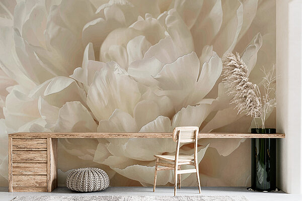 Gros plan sur une fleur blanche Gros plan sur une fleur blanche