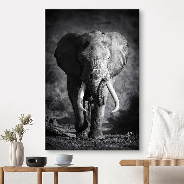 Tableaux Tableaux Un éléphant avec des défenses qui marche (UGS : s08133)