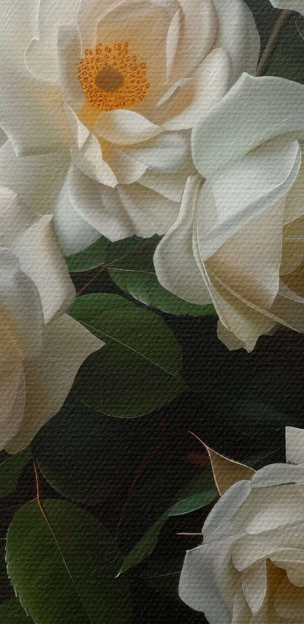 Gros plan sur une fleur blanche Gros plan sur une fleur blanche
