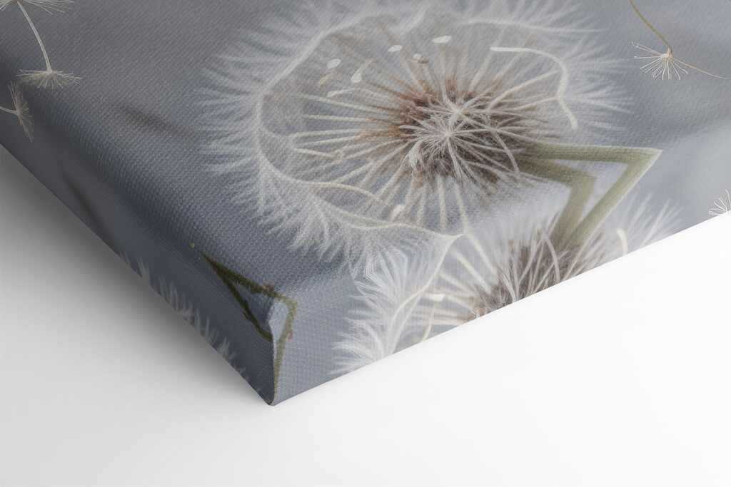 Group of dandelions with seeds flying