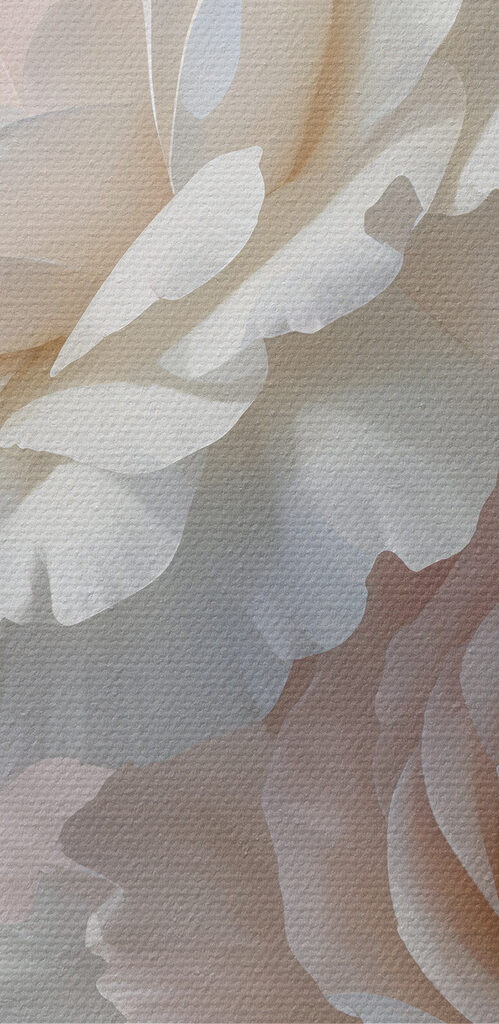 Close up of flowers Close up of flowers