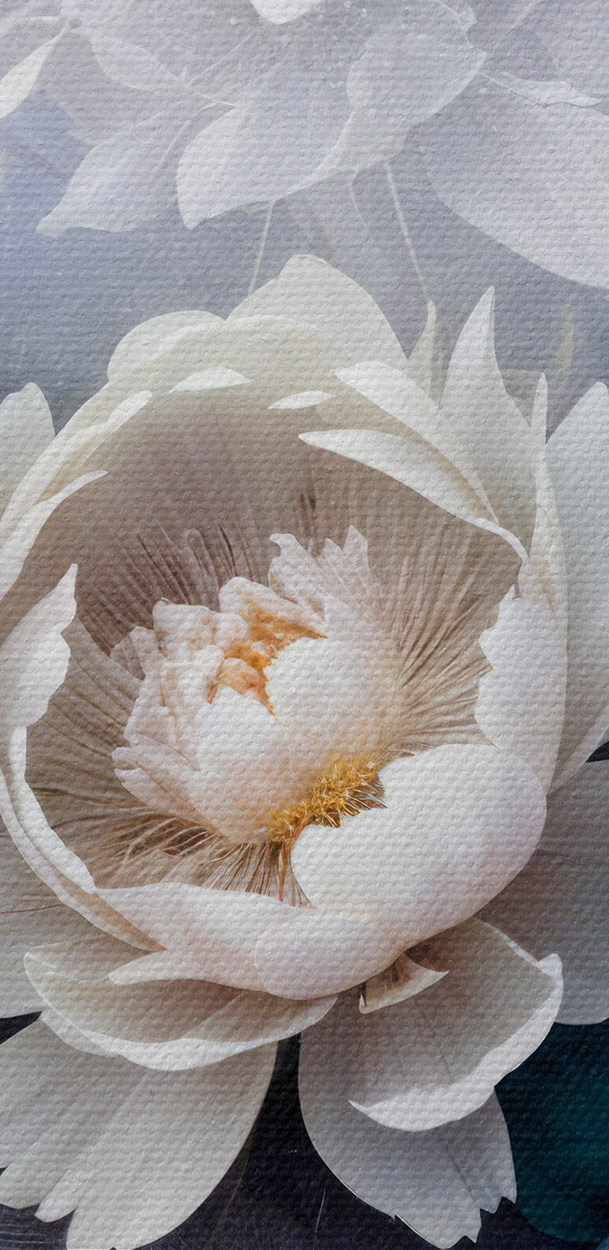 Groupe de fleurs blanches