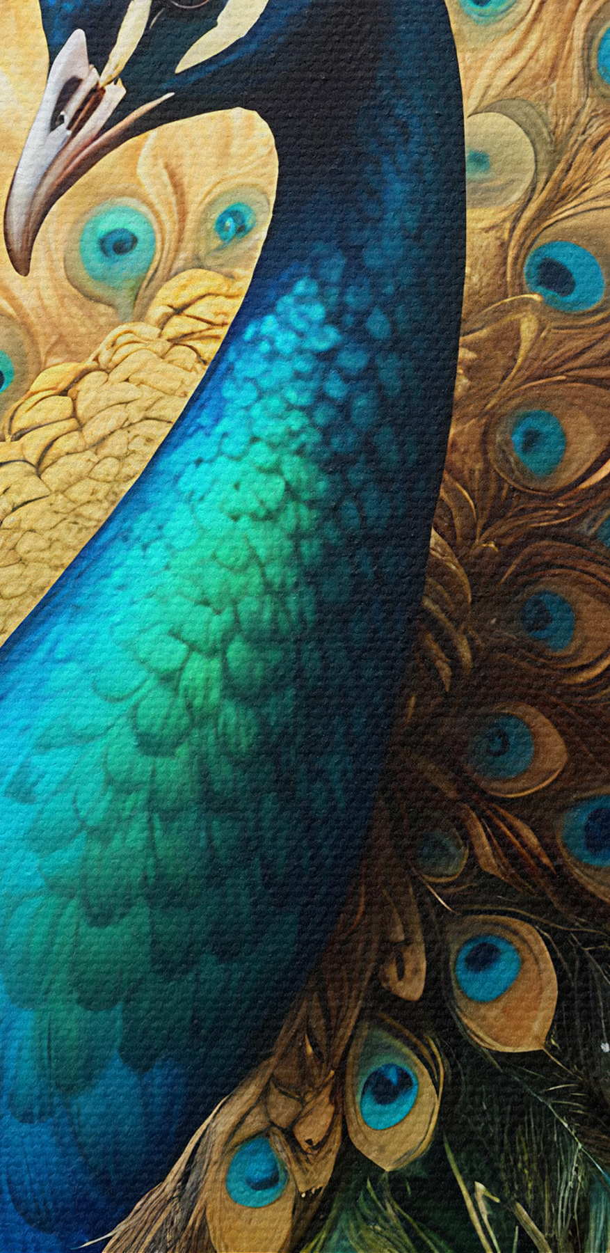 Paon avec les plumes de sa queue déployées