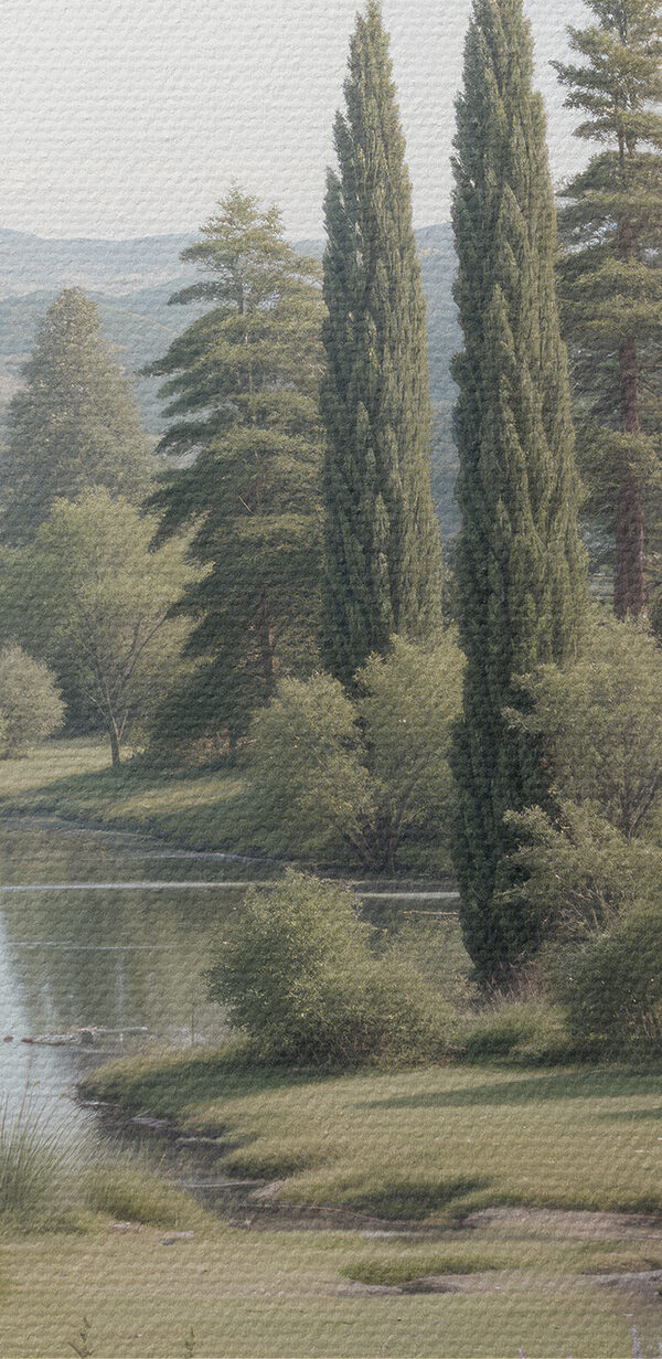 Lac avec des arbres, de l'herbe et des fleurs Lac avec des arbres, de l'herbe et des fleurs