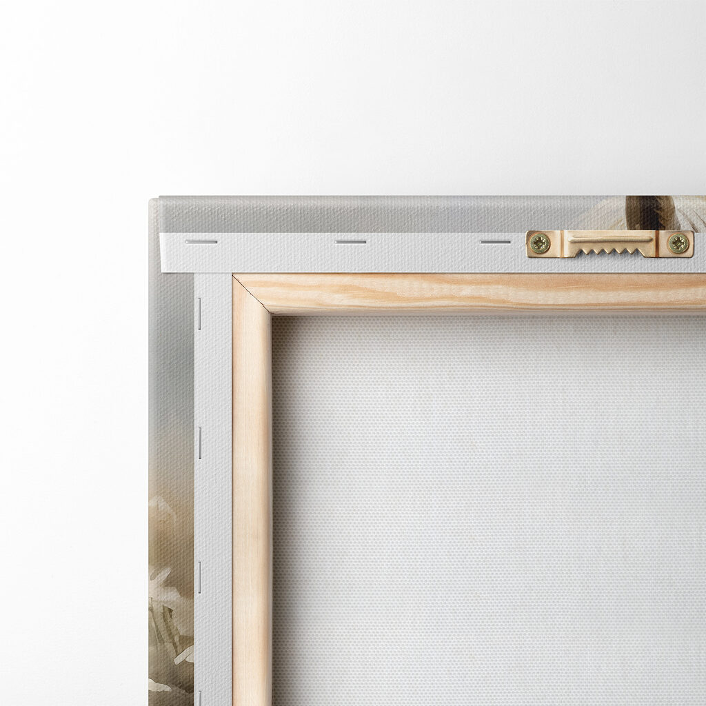 White horse in a field of flowers White horse in a field of flowers