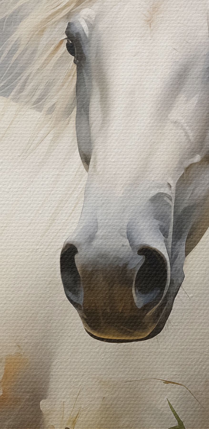 Cheval blanc dans un champ de fleurs