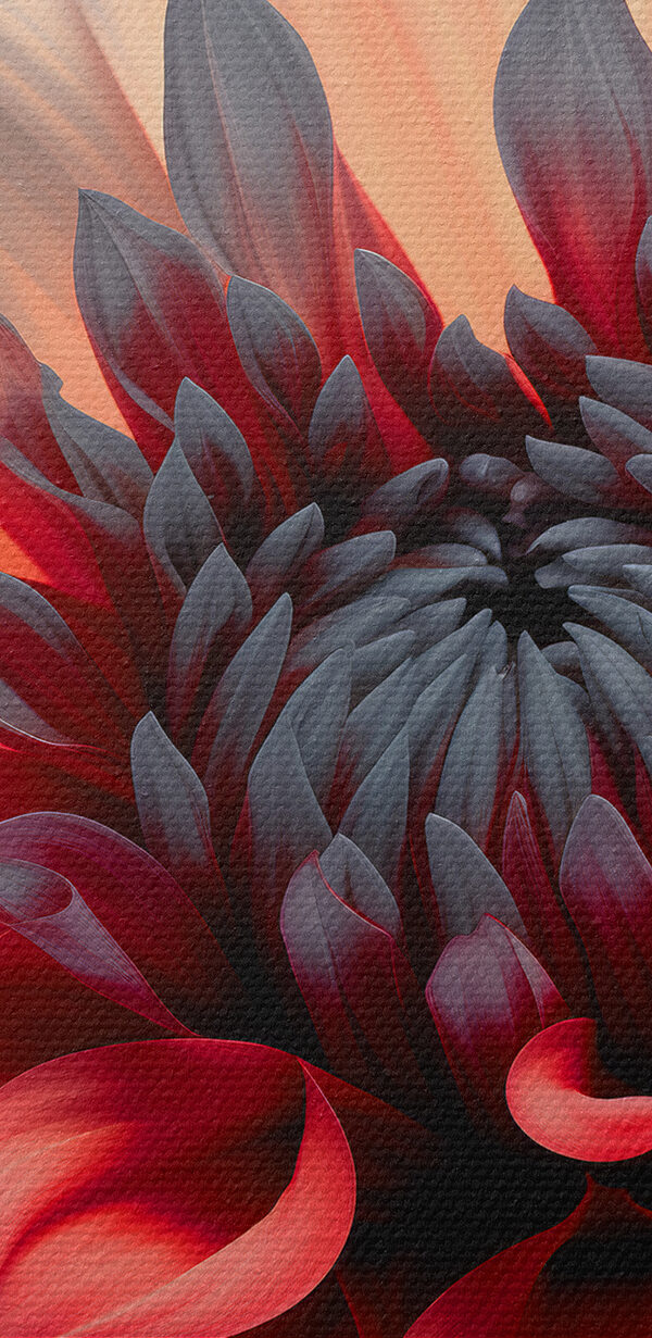 Gros plan sur une fleur Gros plan sur une fleur