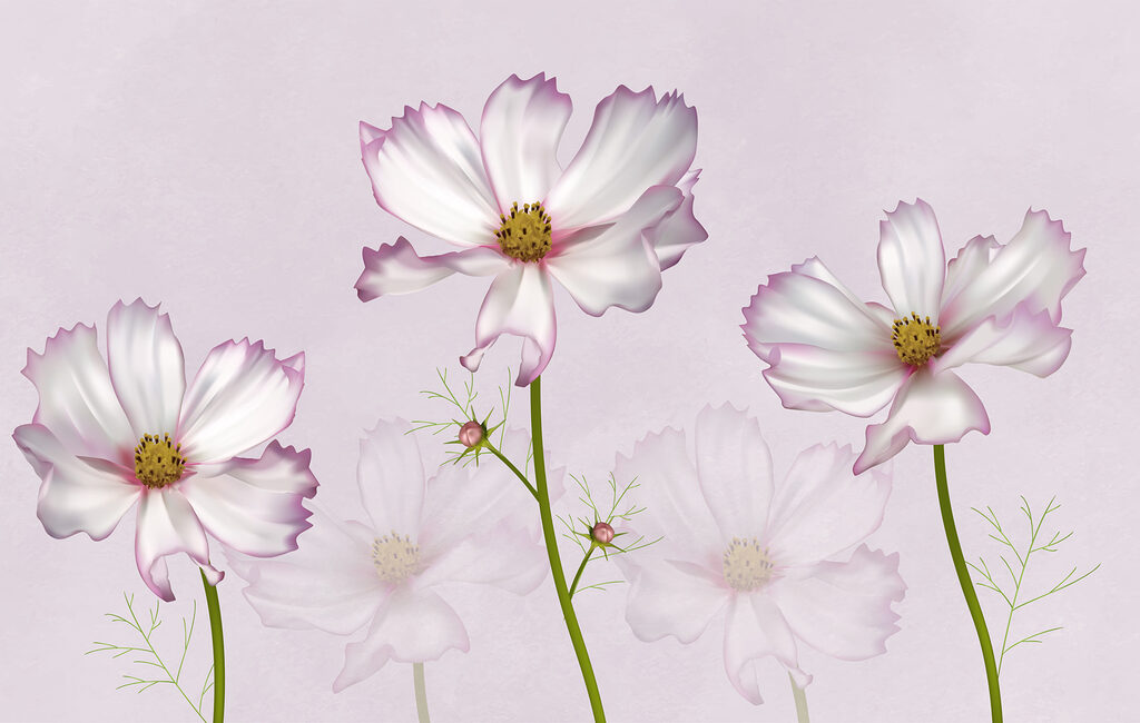 Groupe de fleurs blanches Groupe de fleurs blanches