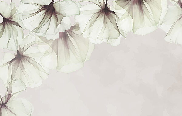 Gros plan sur des fleurs Gros plan sur des fleurs