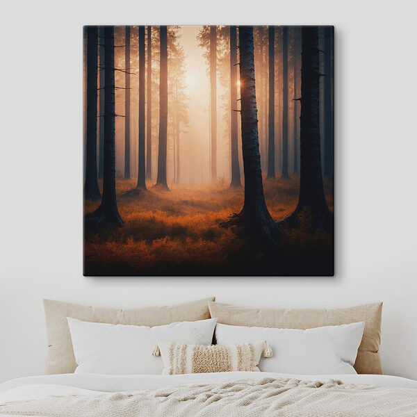Forêt avec arbres et brouillard Forêt avec arbres et brouillard