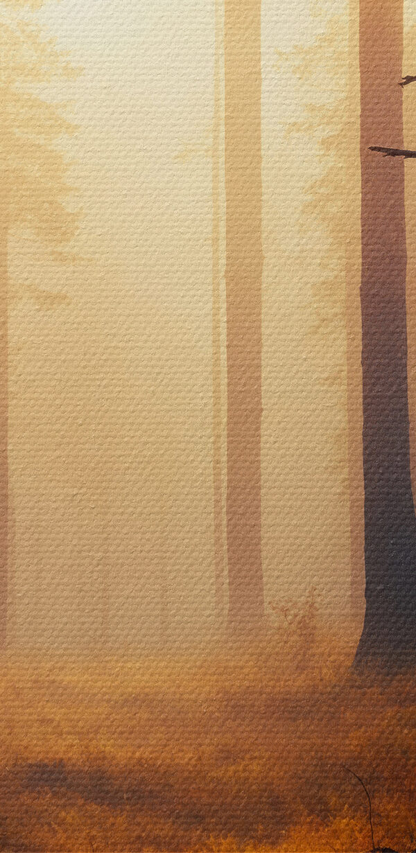 Forêt avec arbres et brouillard Forêt avec arbres et brouillard