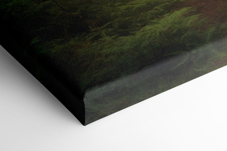 Tableaux Forêt avec arbres et brouillard – Image 4