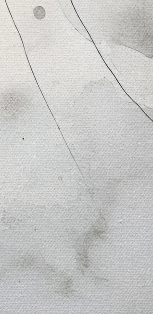 Fond blanc et gris Fond blanc et gris