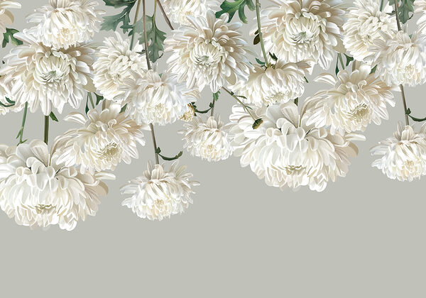 Groupe de fleurs blanches Groupe de fleurs blanches