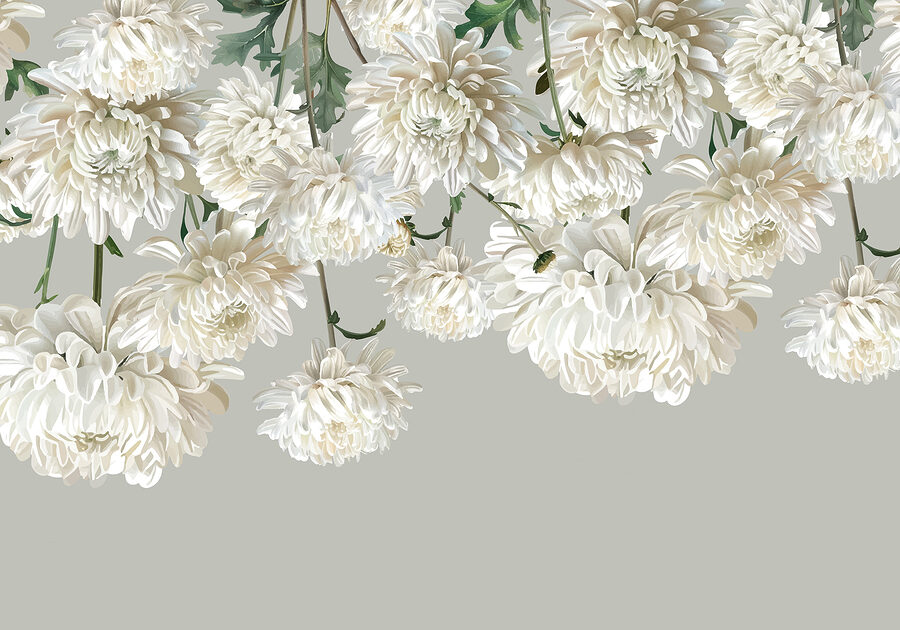 Groupe de fleurs blanches Groupe de fleurs blanches