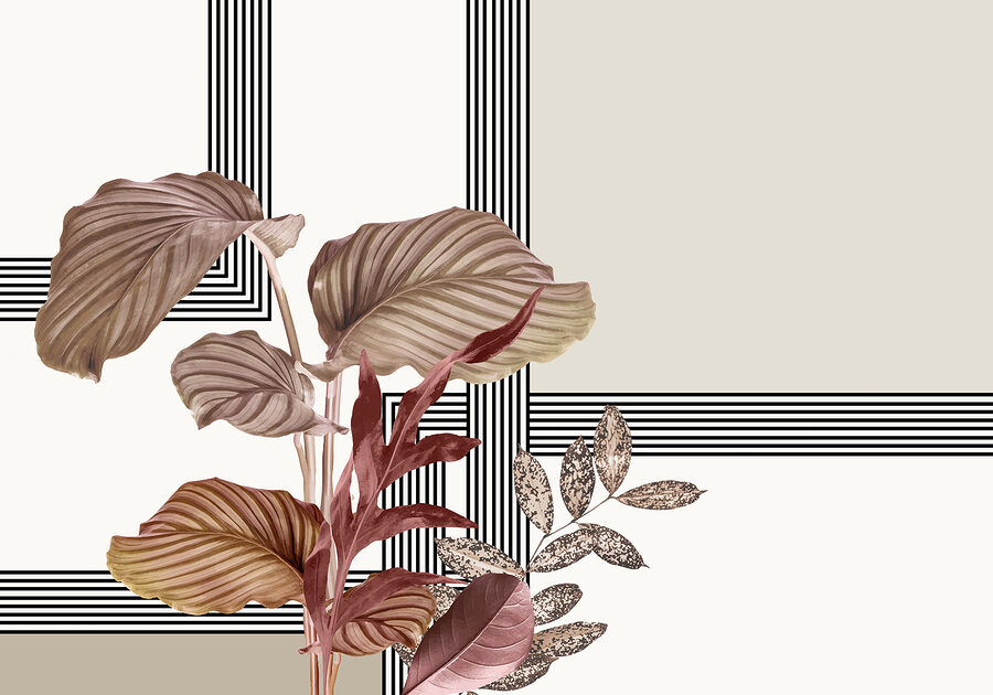 Plante à feuilles brunes