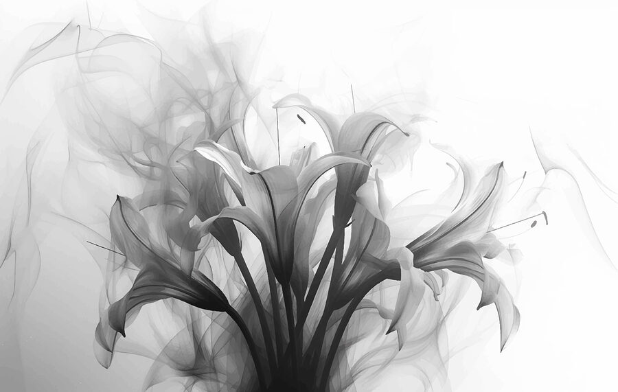 Image de fleurs en noir et blanc