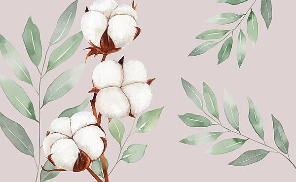 Fleurs et feuilles de coton Fleurs et feuilles de coton