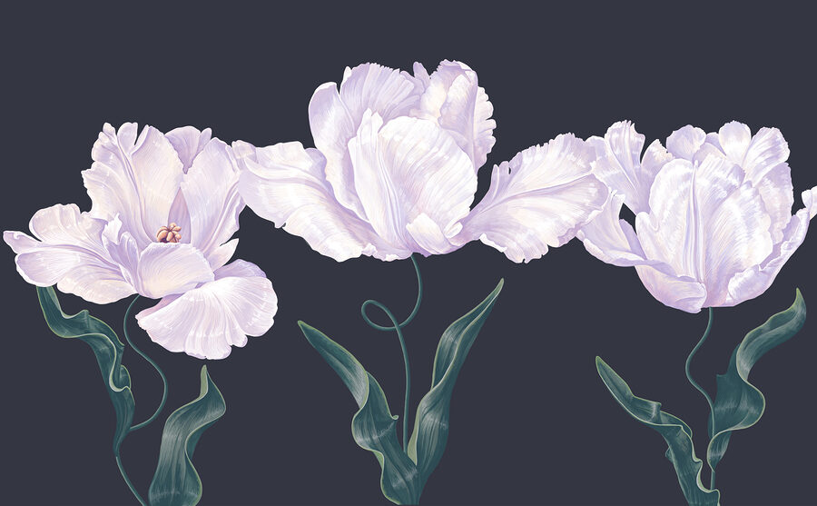 Rangée de fleurs blanches avec des feuilles vertes Rangée de fleurs blanches avec des feuilles vertes